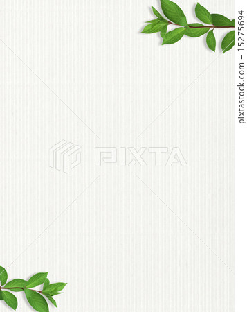 Natural background - cardboard - leaves 15275694