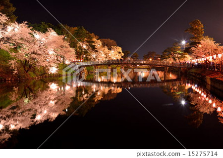 櫻桃高田公園 15275714