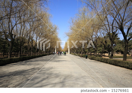 世界遺產北京Akozo Ringle神道 15276981