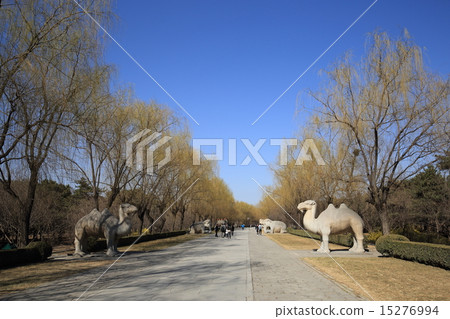 World Heritage Beijing Akozo Ringle Shinto 15276994