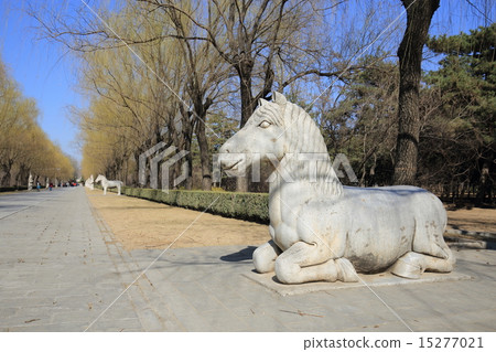 世界遺產北京Akozo Ringle神道 15277021
