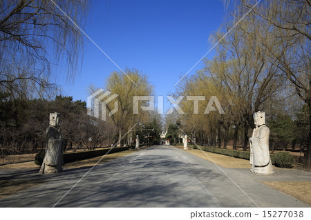 世界遺產北京Akozo Ringle神道 15277038