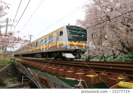 Nambu線在櫻桃樹 Nambu線在櫻桃樹 15277724