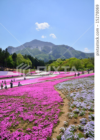 Riyama Park Shiba Sakura no Oka 15278069
