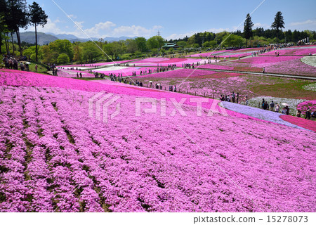 Riyama Park Shiba Sakura no Oka 15278073