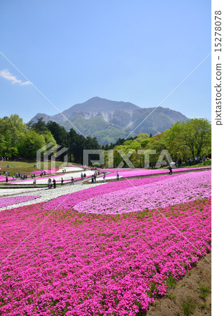 Riyama Park Shiba Sakura no Oka 15278078