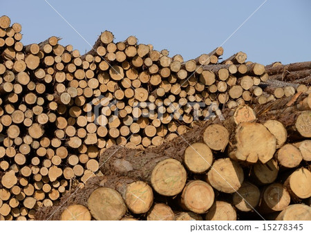 港口的港口存放處 15278345