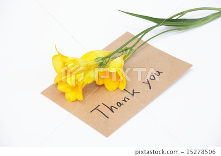 FREESIA和留言卡 15278506