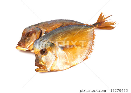 fish 15279453