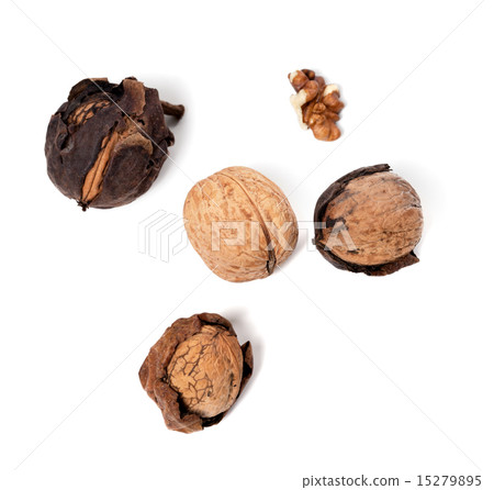 Walnuts on white background Walnuts on white background 15279895