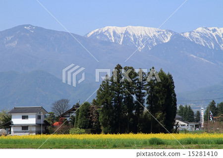 安曇野之春 安曇野之春 15281410