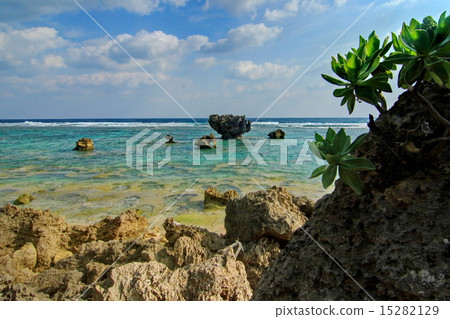 Sea of the tropics 15282129