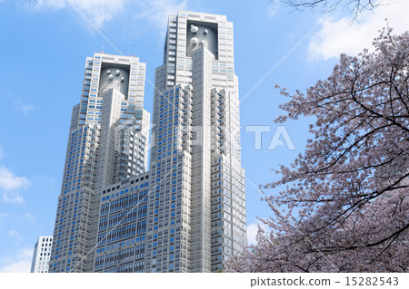 Shinjuku Central Park's full bloom Kaiyoshino and the Tokyo Metropolitan Government building 15282543