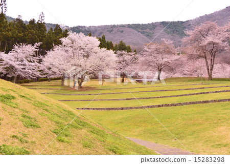 Spring landscape Spring landscape 15283298