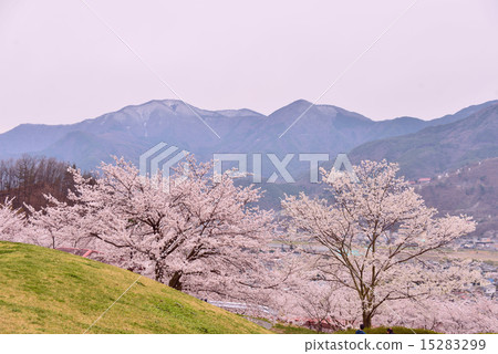 Spring landscape Spring landscape 15283299