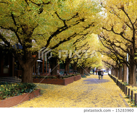 Shrine of the fall Shogun garden lined row of Stock Photo