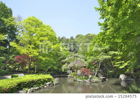 新鮮的綠色公園 15284575