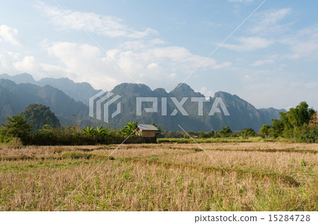老撾Bambien的鄉下風景 15284728