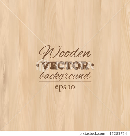 Wooden background. Wood texture 15285734