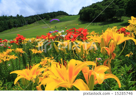 千里富士見高原 15285746