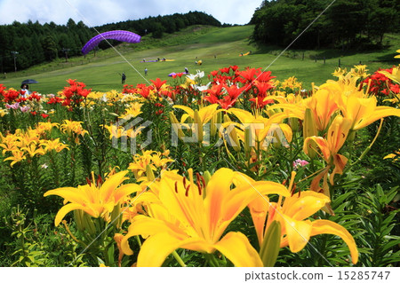 千里富士見高原 15285747