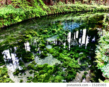 Shirakawa water source 15285903