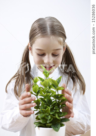 Green primary school student Green primary school student 15286036