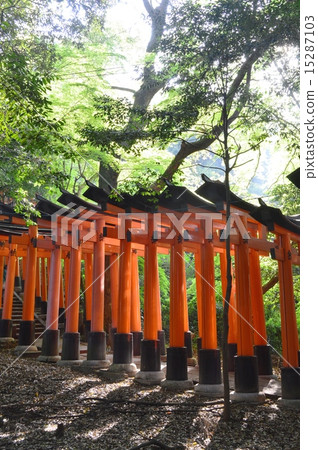 Fushimi-Inari神社的Senbon torii 15287103