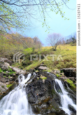 Shin-Maruyama's New Green Ridge Shin-Maruyama's New Green Ridge 15287411