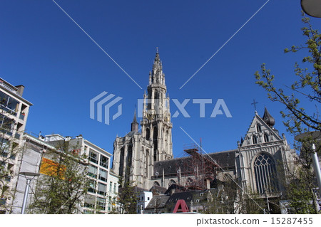 安特衛普大教堂成為比利時佛蘭德斯的狗的舞台 15287455
