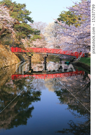 Hirosaki Castle Hanasaku Hirosaki Castle Hanasaku 15287799