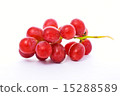 red grape 15288589