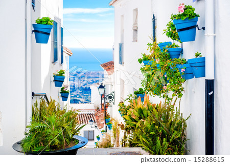 Picturesque street of Mijas 15288615