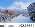 冬天的山 15288684