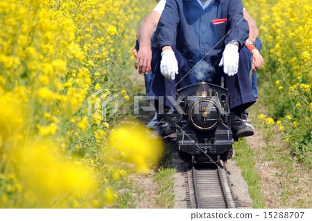 迷你SL 迷你SL 15288707