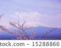 Fuji and Sakura vol.3 15288866