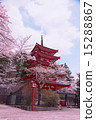 Five story tower and Sakura vol.1 15288867