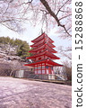 Five story tower and Sakura vol.2 15288868