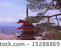 Five story tower and Sakura vol.3 15288869