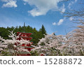 Five story tower and Sakura vol.6 15288872