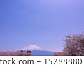 Mount Fuji and Sakura seen from Kawaguchiko vol.1 vol.1 15288880