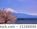 Mt. Fuji and Sakura seen from Kawaguchiko vol.9 15288888