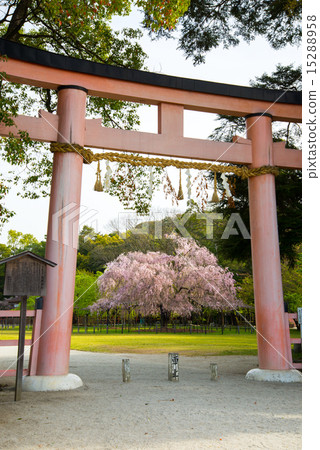 Kamigamo Shrine 15288958