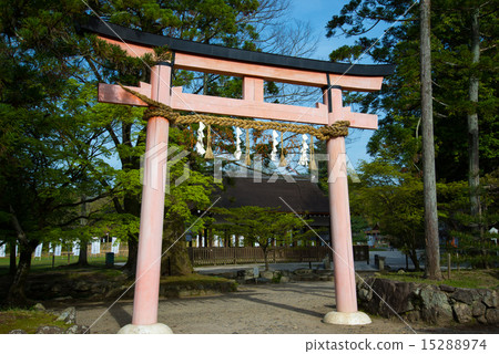 Torii Torii 15288974