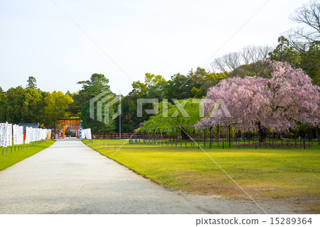 Kamigamo神社 15289364