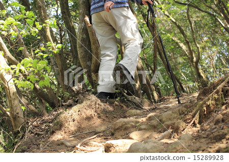 Trail road Trail road 15289928