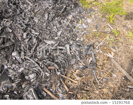 Burning bonfire 15291768