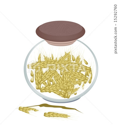 A Jar of Golden Colors of Ripe Wheat 15292760