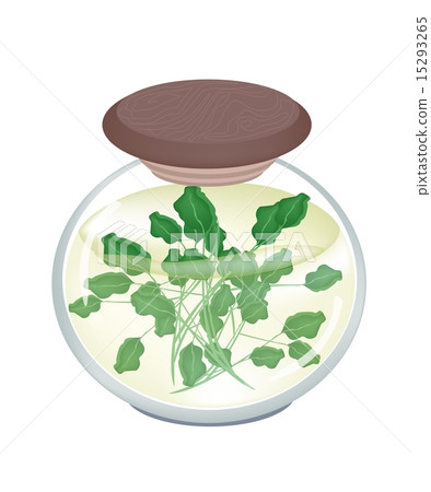 A Jar of Delicious Pickled Green Watercress 15293265