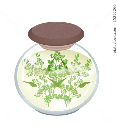 Jar of Pickled Neem Leaves and Blossoms 15293266